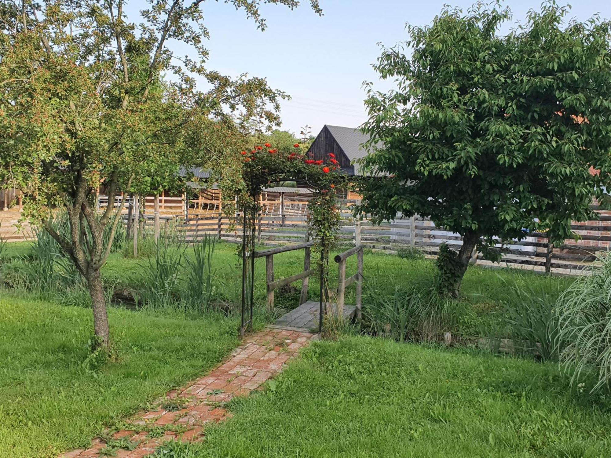 U Durkovych Guest House Zabokreky Nad Nitrou Exterior photo